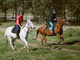 Chapman Valley Horse Riding