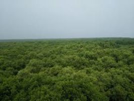 Coringa Wildlife Sanctuary 