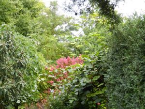 Jardin Aux Plantes La Bouichere