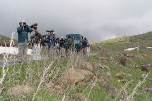 Birdwatching: Watch The Fly Past