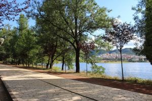 Grand Park Of Tirana