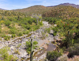Spur Cross Ranch Conservation Area
