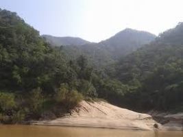 Coringa Wild Life Sanctuary
