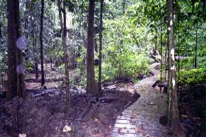 Explore Christmas Island National Park