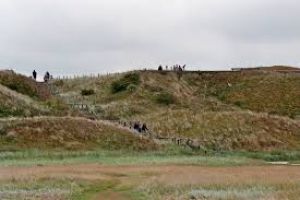 Dunes Of Texel National Park