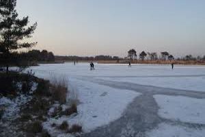 The Zoom – Kalmthoutse Heide