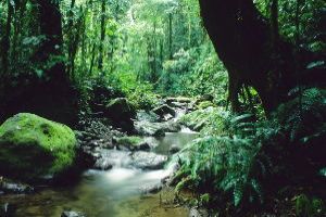 Darien National Park