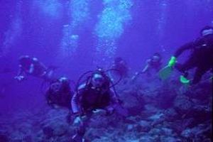 Diving: Into The Crystal Clear