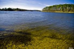 Lake Ouachita 