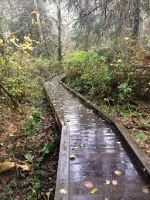 Evans Creek Preserve 