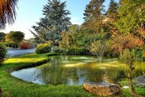 Bau Beach - dog beach