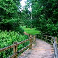 Molalla River State Park 