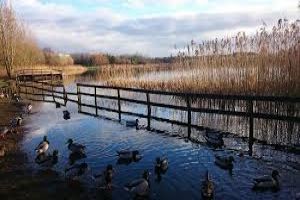 McMahon Clare Lake Park Claremorris