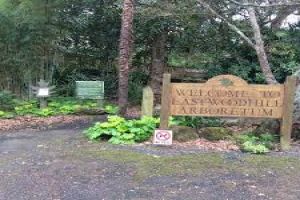 Eastwoodhill Arboretum