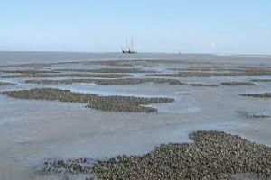 Natuuractiviteitencentrum De Koppel