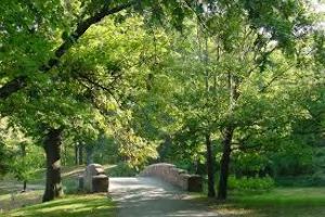 Emerald Necklace