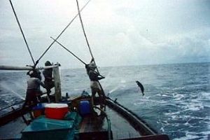 Fishing In The Deep Seas