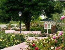 Rose Garden at Mesa Community College