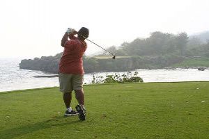 Professional Golfing