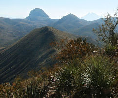 Leslie Canyon National Wildlife Refuge