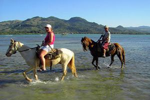 Enjoy Golden Bay Horse Riding in Malta