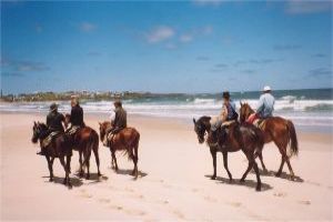 Horseback Riding In Uruguay