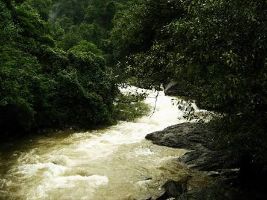 Kumaradhara River