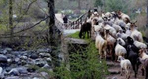 Enroute Chalal Bridge