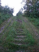 Strathcona Science Provincial Park