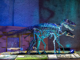 Central Museum of Mongolian Dinosaurs 