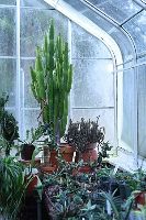 Edgerton Park Conservancy 