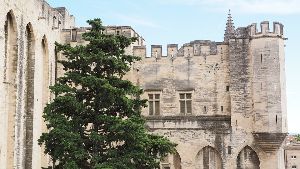 Palais des Papes