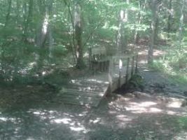 Alice Newton Street Memorial Park 