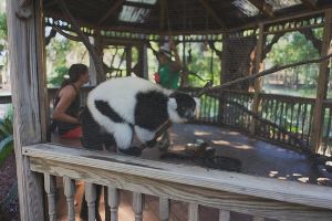 Zoo World Zoological Conservatory