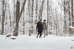  Mount Nemo Conservation Area