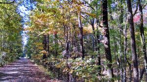 Thacker Mountain Rail-Trail