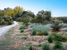 Ulistac Natural Area 