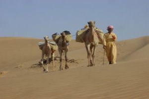 Trekking:  Test Your Skills