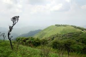 pin velly national park