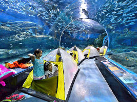 Qingdao Polar Ocean World