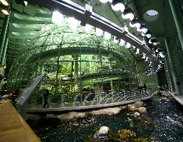 California Academy Of Science 