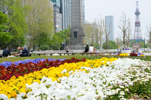 Odori Park