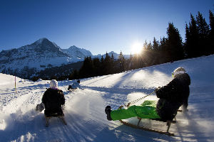 Sledging