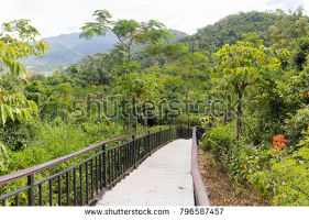 Linchunling Forest Park 