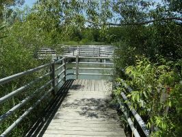 Glenridge Quarry Naturalization Site