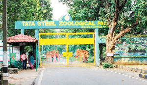 Tata Steel Zoological Park