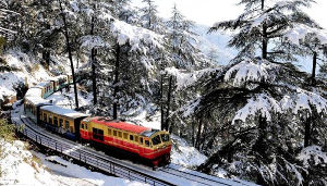 Shimla Toy Train Ride