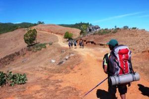 Trek Through Scenic Routes