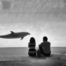 Port Of Nagoya Public Aquariu