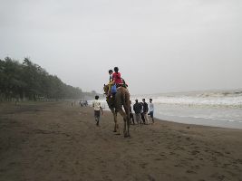 Dahanu Bordi Beach
